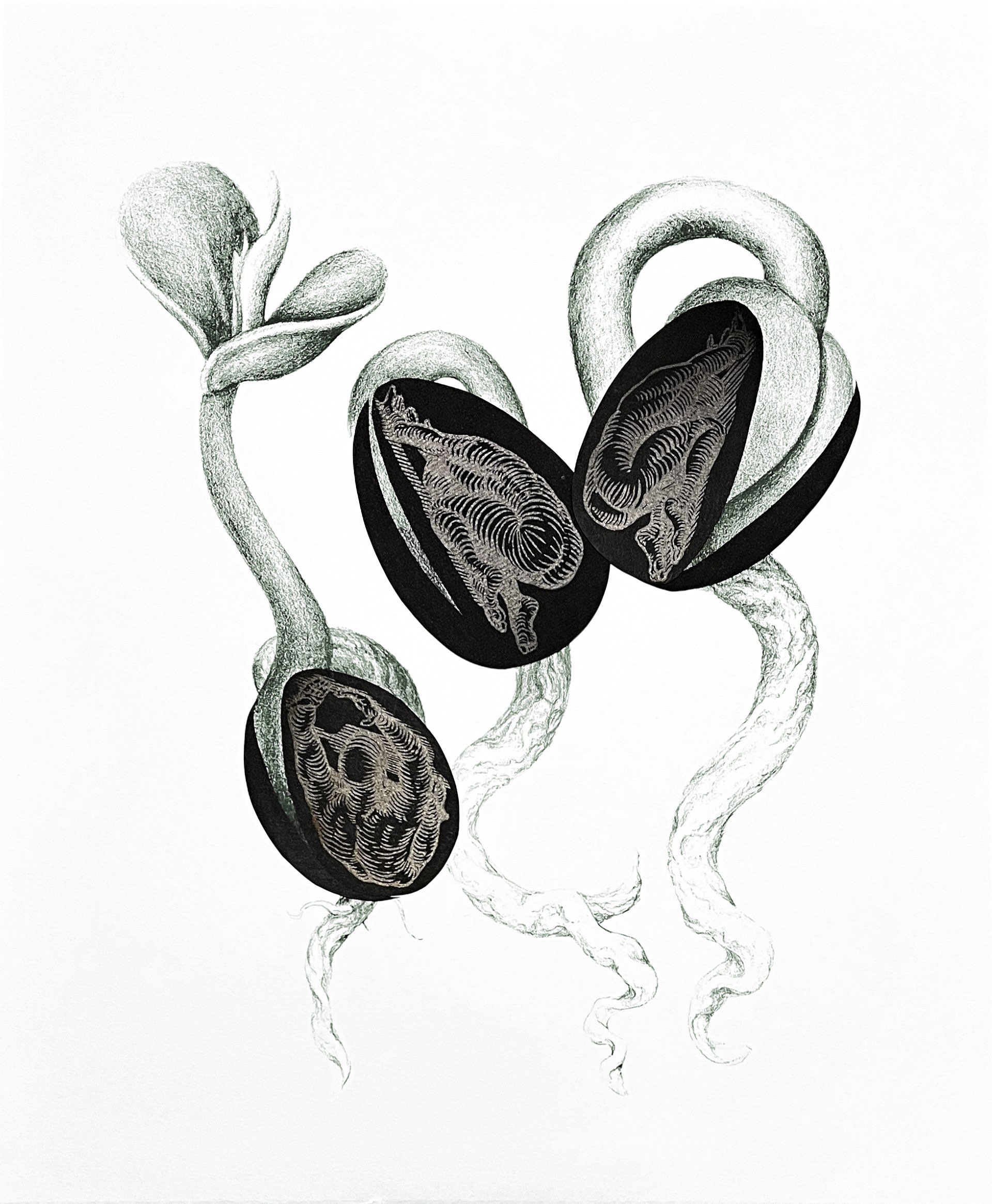 Seeds by Justin Miller, Courtesy photo, 
