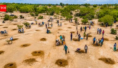 After decades of drought, water is returning to the south of the Sahara Desert as ancient farming techniques and the Great Green Wall breathe new life into the Sahel |