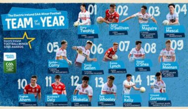 Electric Ireland GAA Minor Star Football Team of the Year