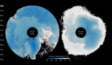 Sensing the Poles’ Hidden Heat