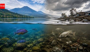 The African Great Lakes contain more than 25% of Earth's surface freshwater, yet many of their unique species face extinction |