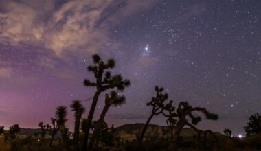 Aug. 12 to feature a 6-planet parade, solar eclipse, meteor shower and new moon