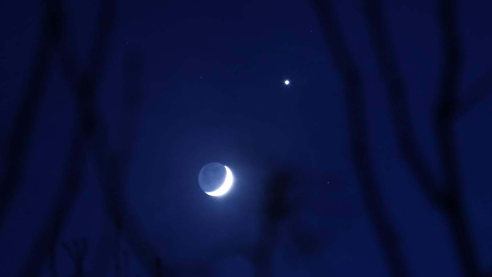 See A Crescent Venus Dominate The Evening Sky: Stargazing This Weekend