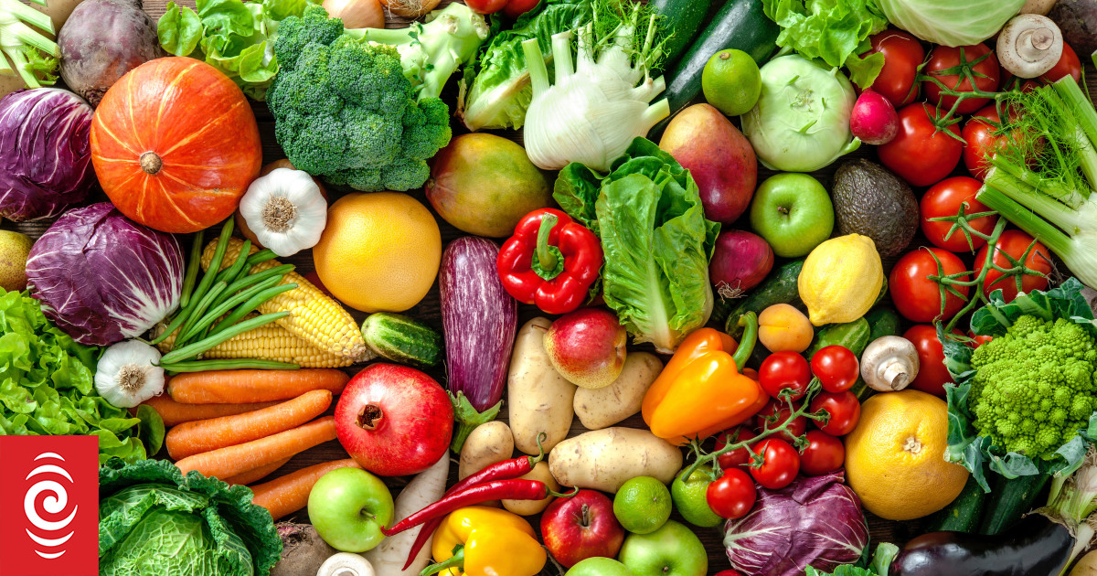 Fad diets - a Harvard professor puts them to the test