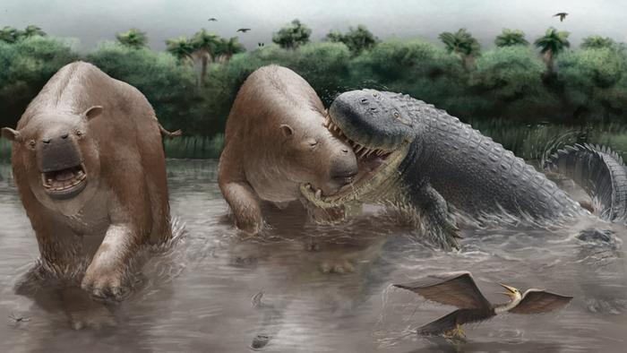 Reconstruction of Purussarus neivensis attacking Pericotoxodon platignathus.