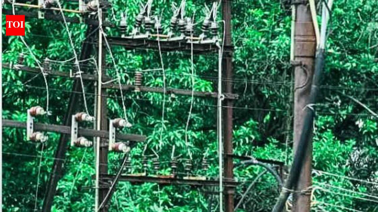 Leopard, peacock deaths spark call for transformer safety cover | Hubballi News