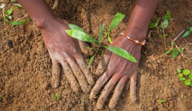Land degradation is costing far more than restoring: UN deputy chief
