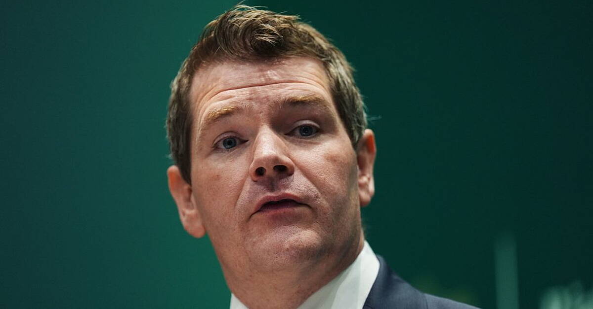 ‘Period of uncertainty’ as AI penetrates Irish economy, says Enterprise Minister