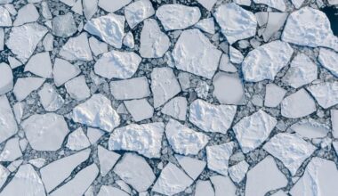 Aerial View of Young Arctic Sea Ice