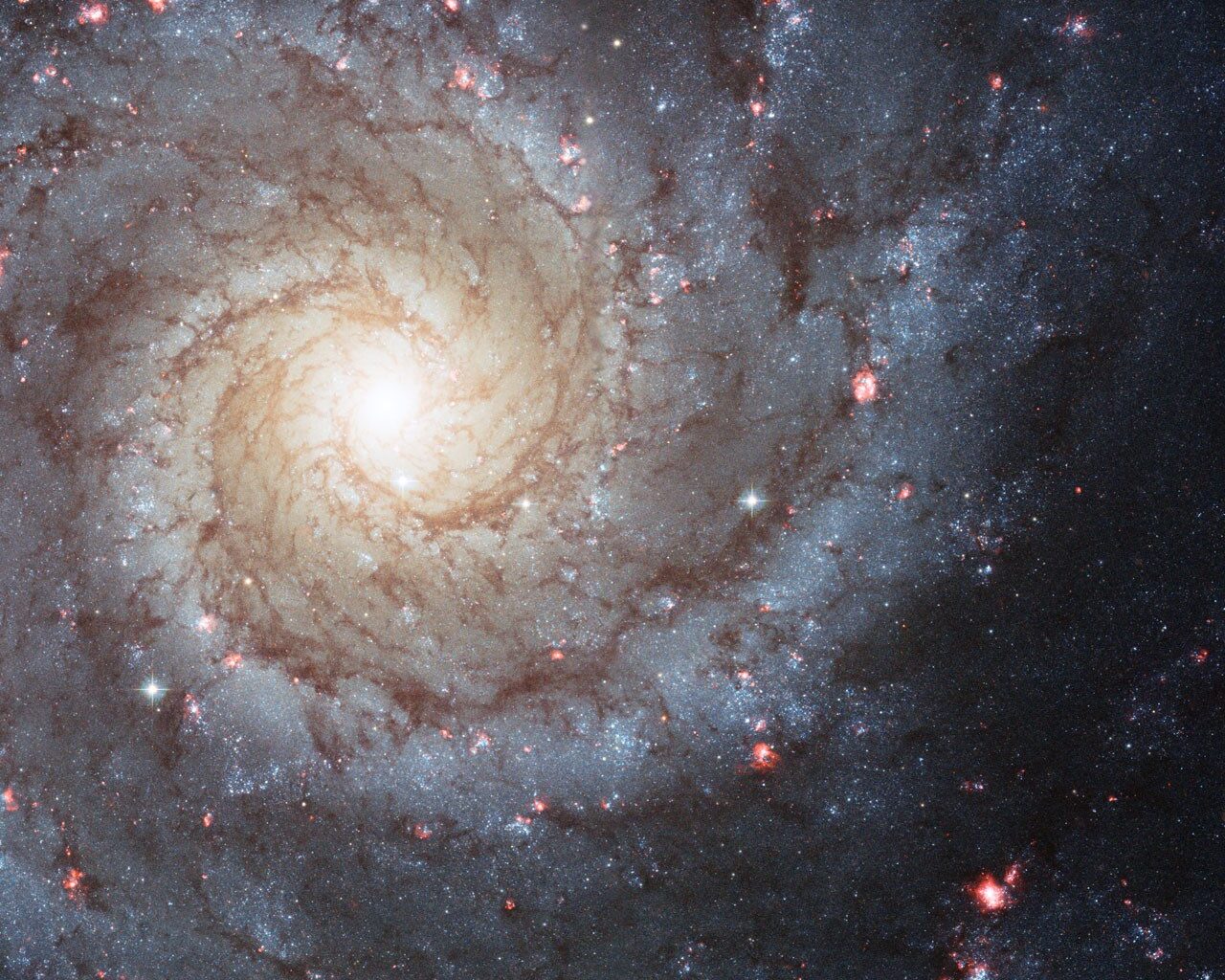 APOD: 2026 August 30 – M74: A Grand Design Spiral