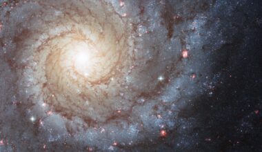 APOD: 2026 August 30 – M74: A Grand Design Spiral