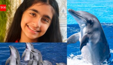 Meet Ishanvi Sakharpe, the Virginia student who built Dolphin Guard to help protect dolphins from dangerous human activity﻿ |