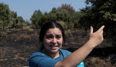 Dangerous summers: How heatwaves and wildfires change life across Europe | Weather