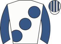 Horse silk
