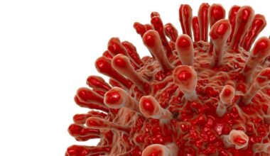HIV vaccine nanoparticle avidity boosts durable immune response in preclinical studies | Drug Target Review