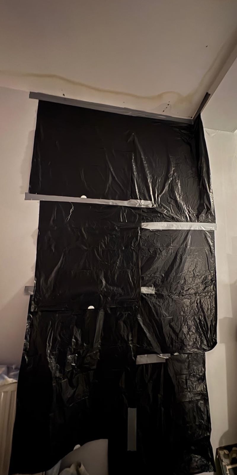 Leaking roofs, damp, heating retention problems and windows overheating and cracking are some of the issues at Dolphin House