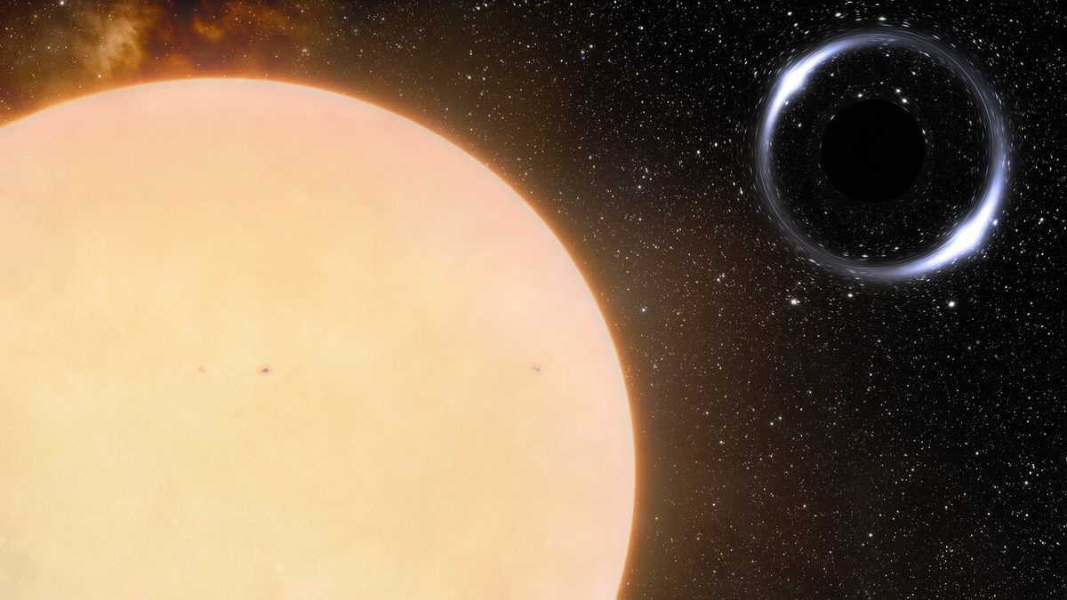 Artist