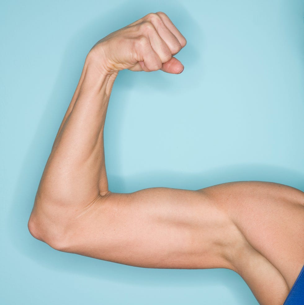 Flexed arm showing muscle flexed arm showing muscle