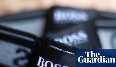 Sports Direct owner Mike Ashley tightens hold on Hugo Boss | Retail industry