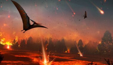 Mass extinctions