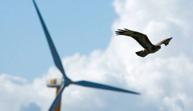 'Nothing has changed' - Waterford Council stands firm against controversial windfarm plan - News