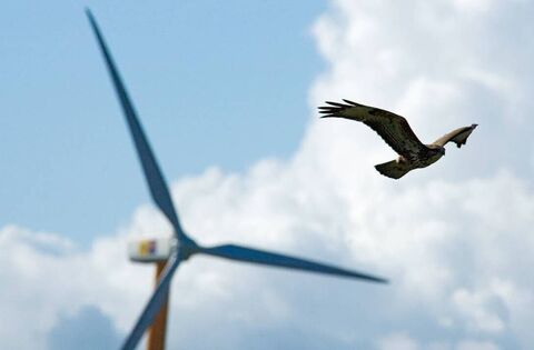 'Nothing has changed' - Waterford Council stands firm against controversial windfarm plan - News