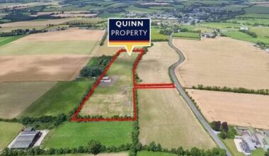 Kildare land sells for 'extraordinary amount' at auction - News