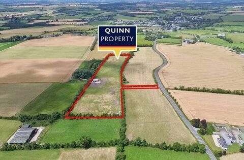 Kildare land sells for 'extraordinary amount' at auction - News