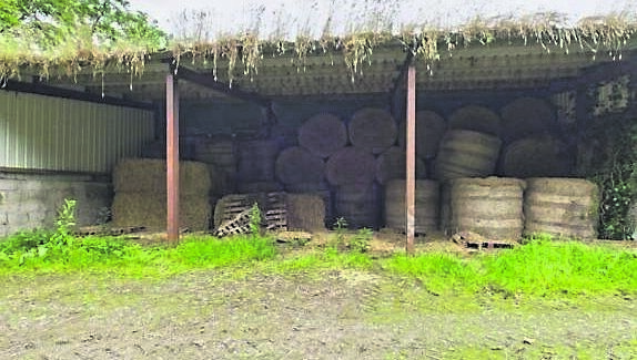 To the rear of the residence is a three-bay hay shed with lean-to cubicle shed.