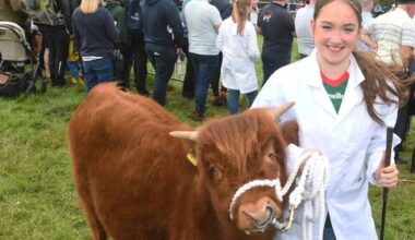 A day when rural Ireland took centre stage - news