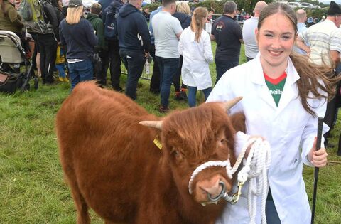 A day when rural Ireland took centre stage - news