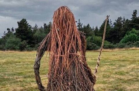 Majestic new Guardian for the Slieve Blooms  - News