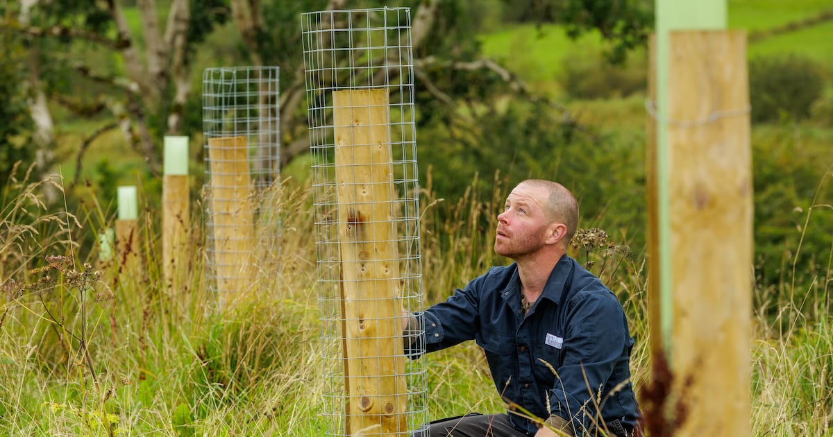 In the future ‘a field without trees will be worthless’ – The Irish Times