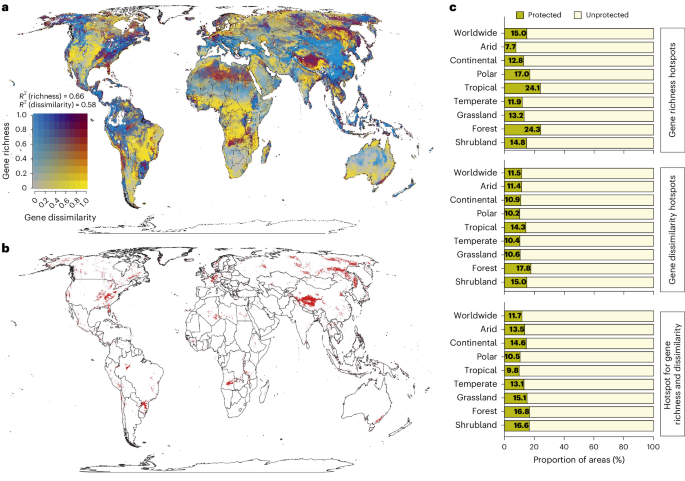 A global atlas of soil microbial genetic resources exposes protection shortfalls