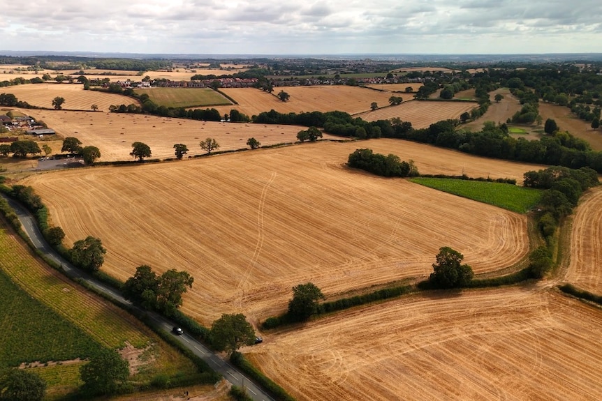 A large number of dry fields, seen from the air.