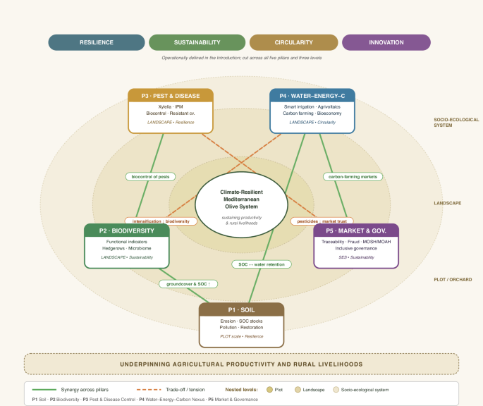 Fig. 1: Integrated framework for climate-resilient Mediterranean olive systems.