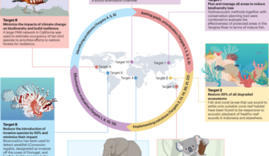 The role of conservation bioacoustics in achieving global biodiversity goals