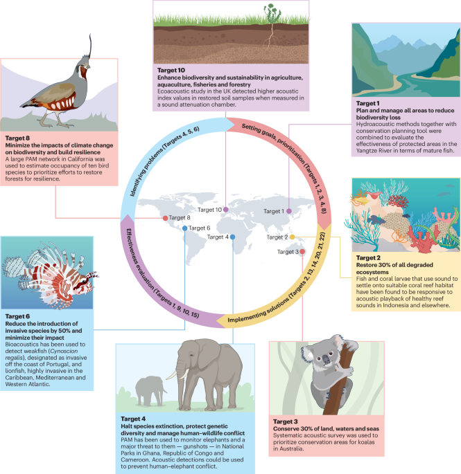 The role of conservation bioacoustics in achieving global biodiversity goals