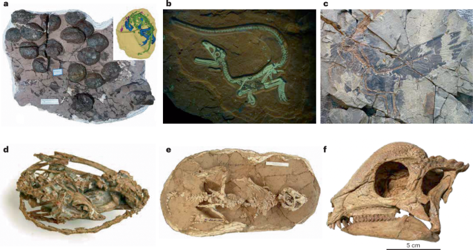 Progress and future directions in dinosaur palaeontology