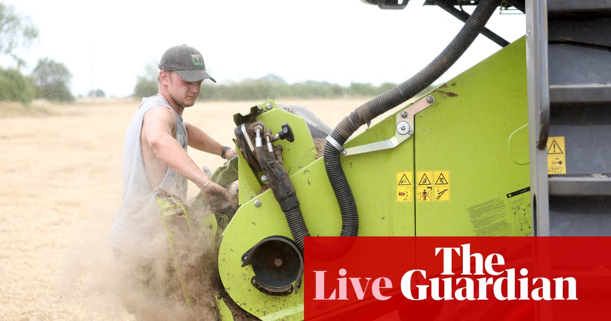 Global food prices hit three-year high as heatwaves and conflict push up cost of crops – business live | Business