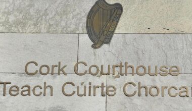 At Cork Circuit Criminal Court, Margaret Foley, aged 39, of Cark Simon Community, was sentenced to a year in jail for the theft.