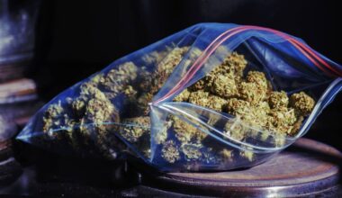 Cork man remanded in custody over €500,000 cannabis seizure