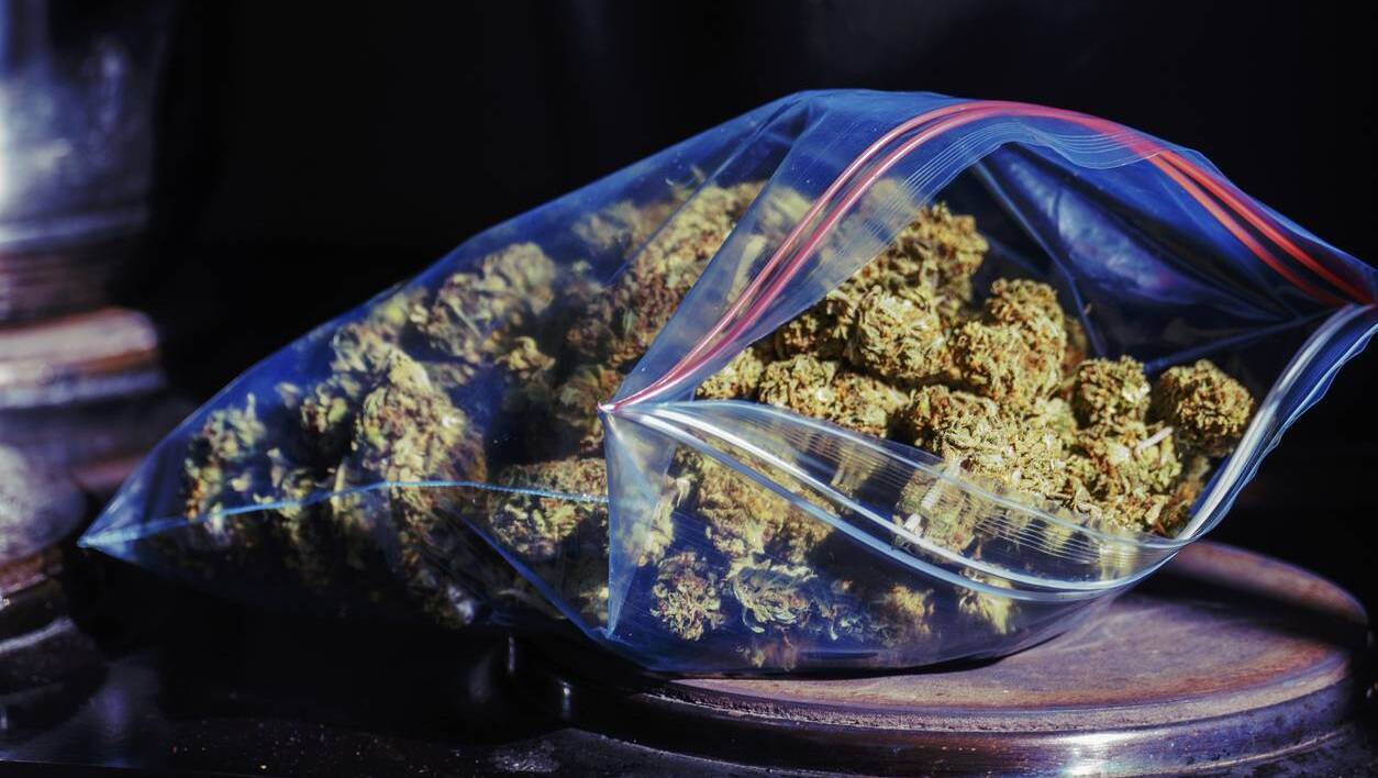 Cork man remanded in custody over €500,000 cannabis seizure