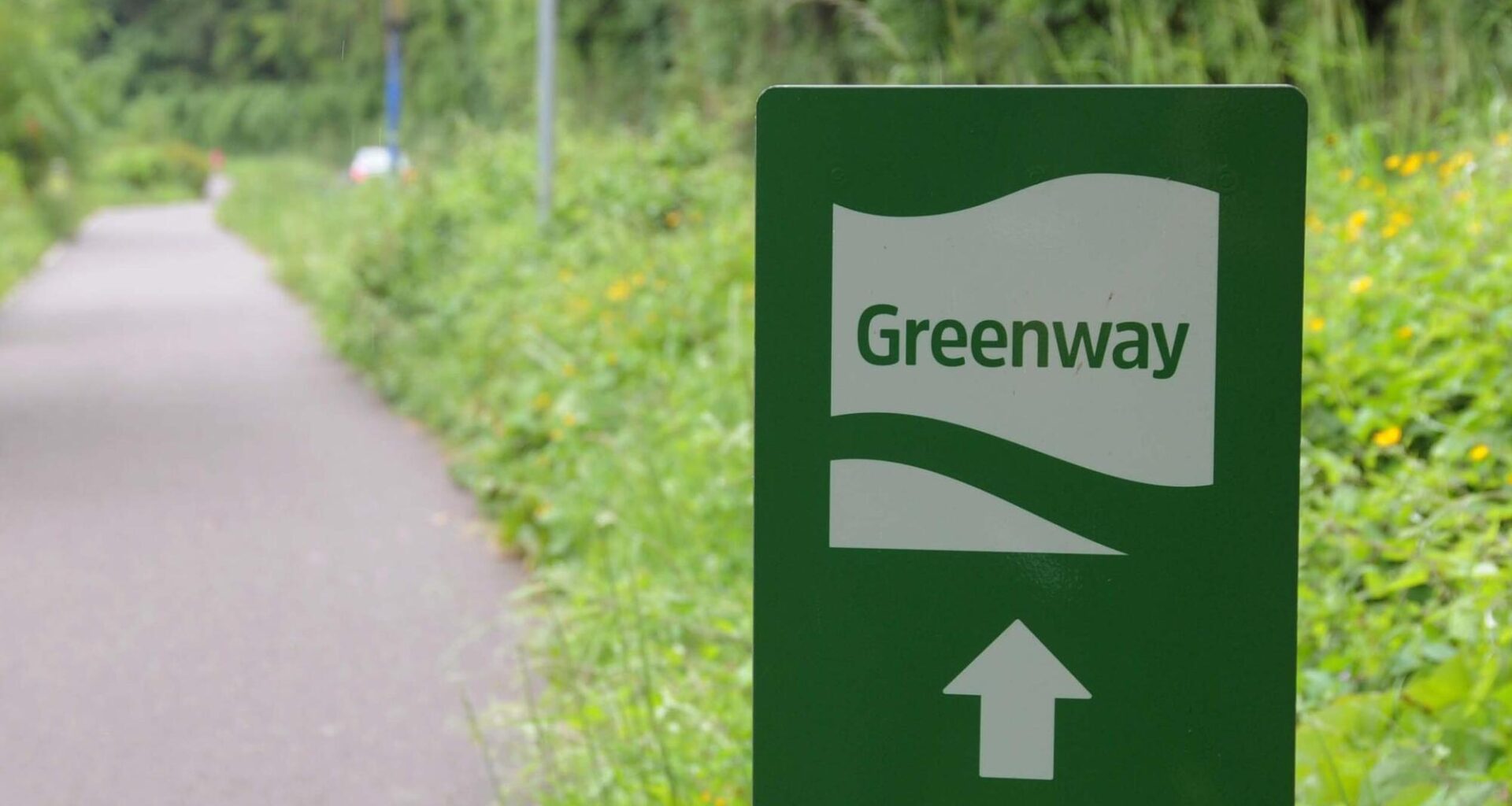 Greenway boost as Cork City Council acquires former football grounds