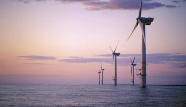 Ireland is capable of delivering big projects such as Arklow Bank. But, despite having Europe’s best wind resource, it is our only 25MW wind farm. We must take control of how we plan and deliver infrastructure. File picture