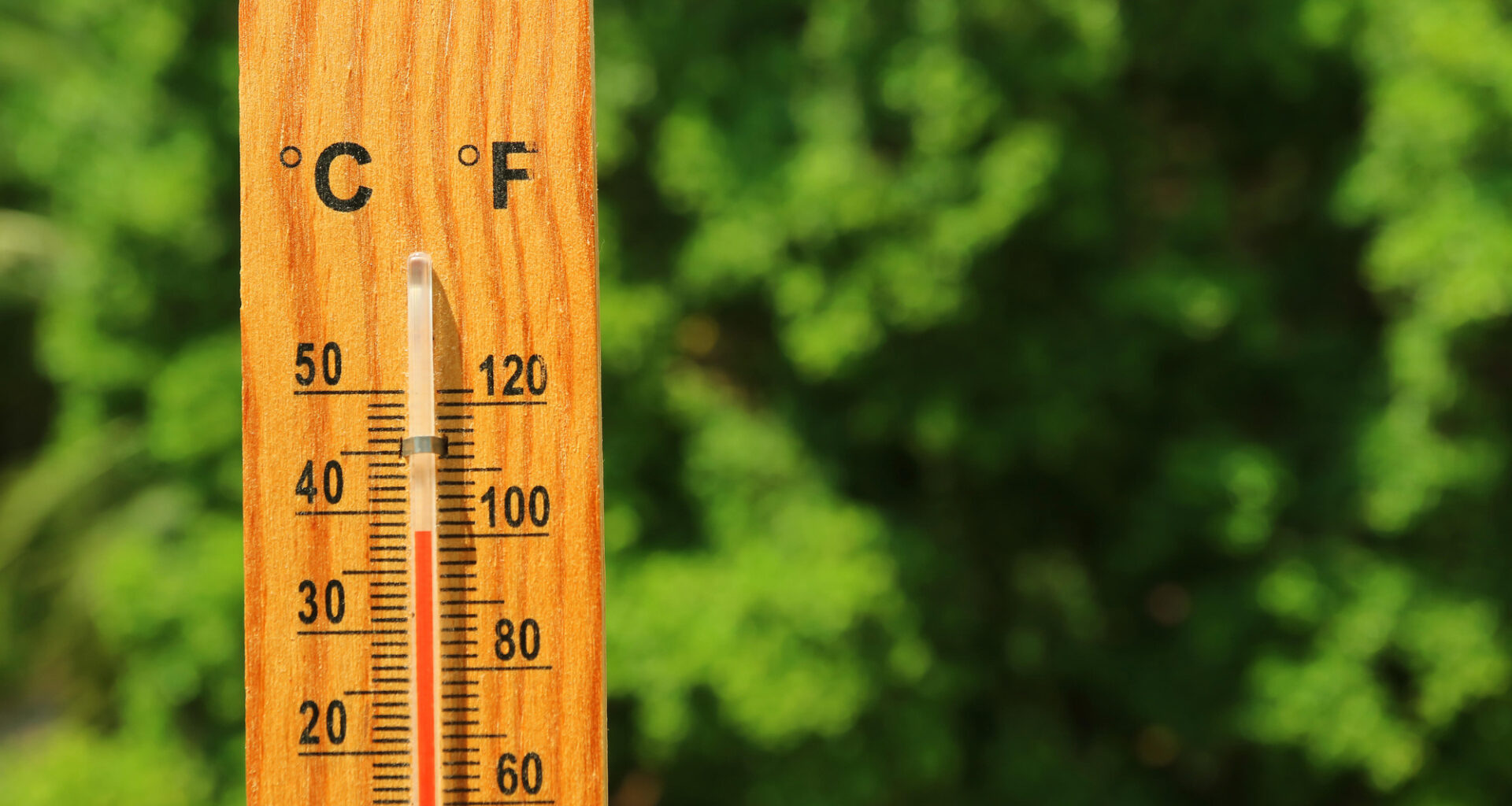 The HSE said seasonal factors can affect numbers attending hospital emergency departments 'including health complications of heat stress' but that no single factor is driving the summer surge. Stock picture: Alamy