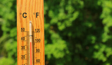 The HSE said seasonal factors can affect numbers attending hospital emergency departments 'including health complications of heat stress' but that no single factor is driving the summer surge. Stock picture: Alamy