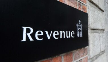 LPS International Plant Ltd owed €46.2m for the under-declaration of Vat, plus €14.1m in interest and €46.2m in penalties. Stock picture: Laura Hutton/RollingNews