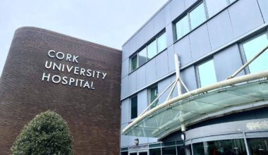 CUH is already reducing capacity, cancelling patients, and 'relying on expensive temporary solutions', its CEO has said.