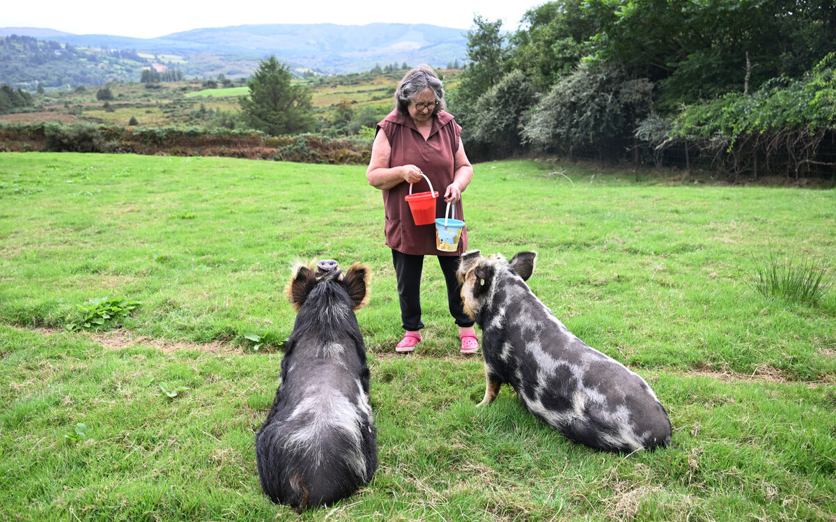 Jean with her Kunekune pigs Rosie and Timmy at Milleens. Picture: Larry Cummins